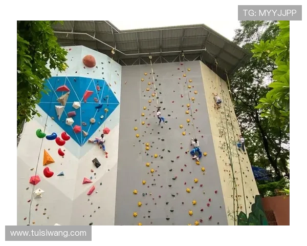 武汉攀岩队技术深度解析与攀岩技巧提升探讨 武汉攀岩队技术深度解析与攀岩技巧提升探讨