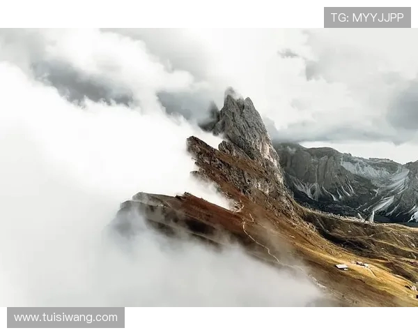 深圳与上海极限运动队耐力赛后复盘分析及未来发展展望