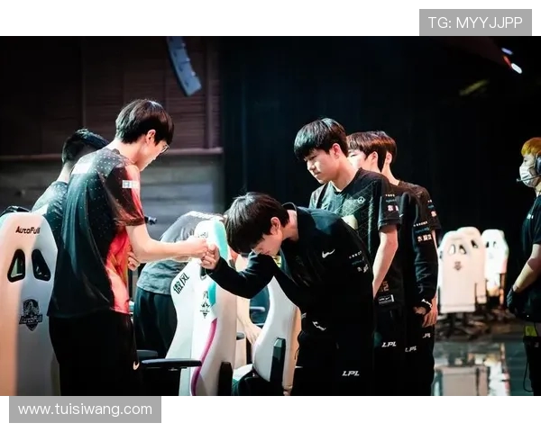 聚焦王者荣耀RNG战队实力分析与未来发展展望