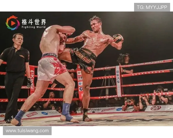 2017年搏击盛事播求对决一龙精彩瞬间回顾与分析