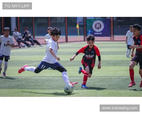 坎塞洛的足球之路：从青训崭露头角到世界舞台的闪耀时刻