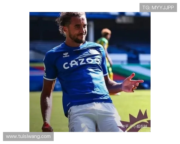 埃弗顿对阵西布朗的精彩直播赛事全程回顾与分析