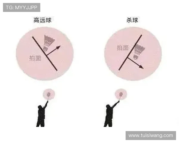 科学羽毛球团队协作训练方法探究与实践提升运动表现的有效策略